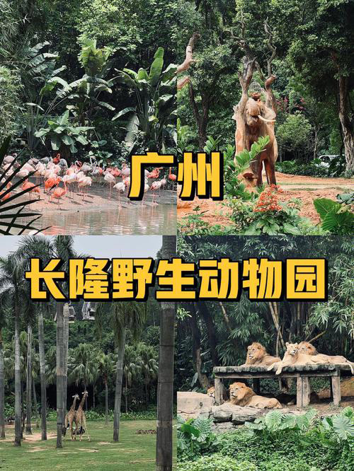 廣州長隆野生動物園旅游