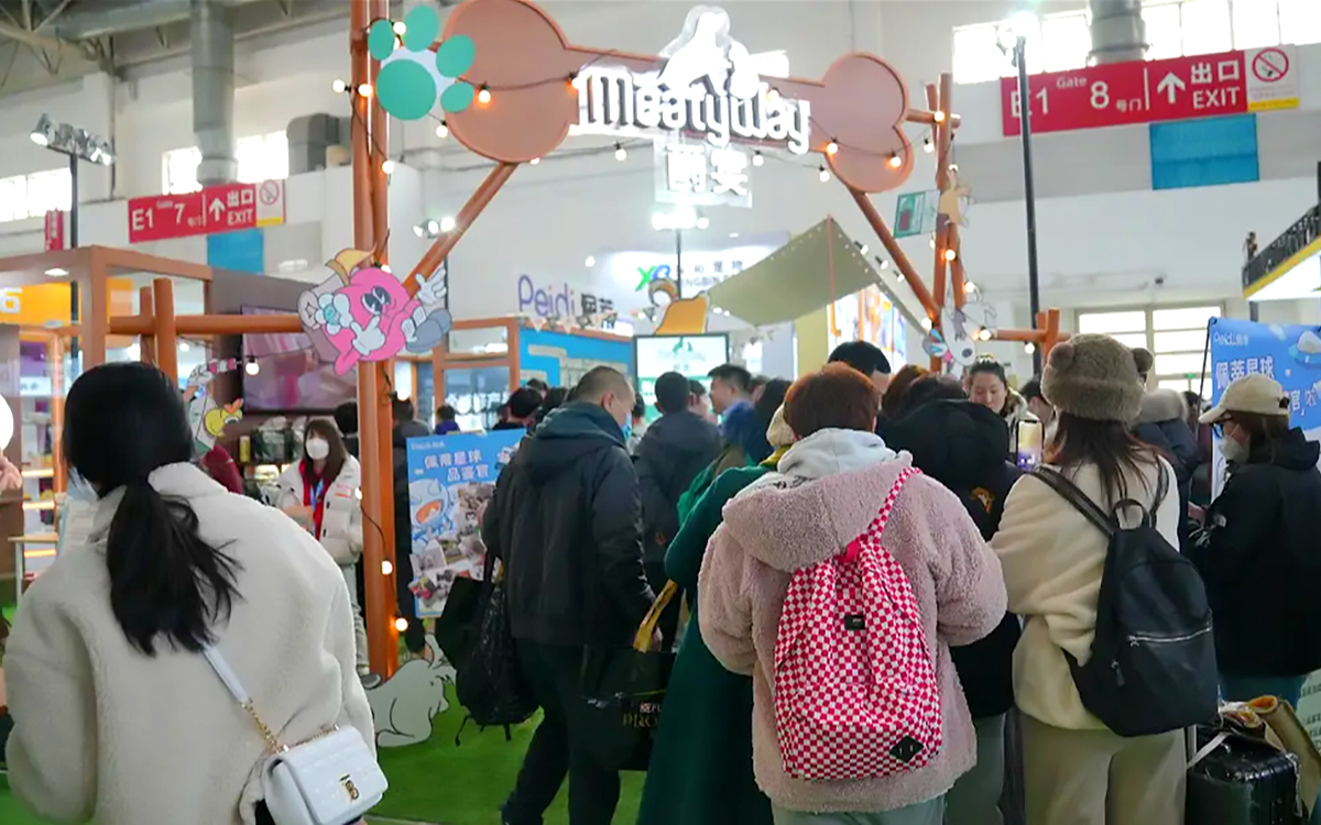 讓鏟屎官一眼就心動(dòng)的寵物展臺(tái)布置設(shè)計(jì)